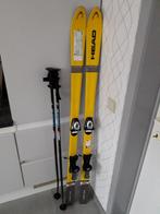Carver ski's, Sport en Fitness, Ophalen, 140 tot 160 cm, Gebruikt, Carve