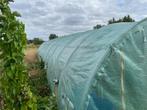 tunnel serre, Tuin en Terras, Kassen, Gebruikt, Folie, Kweekkas, Ophalen