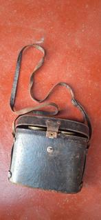 Paire de jumelles, Enlèvement