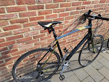 Koersfiets. Maat L beschikbaar voor biedingen