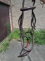 Hoofdstel bruin + 2 sets teugels, Dieren en Toebehoren, Ophalen, Gebruikt