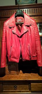 rode lederen jas, Kleding | Dames, Maat 42/44 (L), Nieuw, Rood, Ophalen