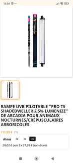 Rampe luminze 2.5% idéal pour geckos grenouille ou autres