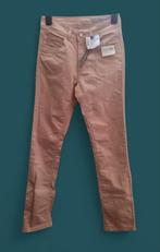 ✨️PARAMI Oudroze broek - Maat 27 (W34 L32) XS Nieuw✨️, Kleding | Dames, Broeken en Pantalons, Parami, Nieuw, Ophalen of Verzenden