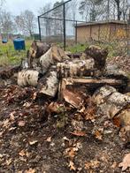 Brandhout berk, Tuin en Terras, Brandhout, Ophalen