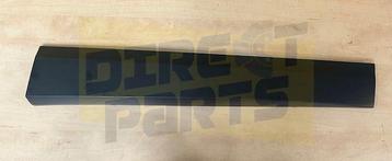 Renault Scenic III (4/09-11/16) portierlijst Rechts voor Ori beschikbaar voor biedingen