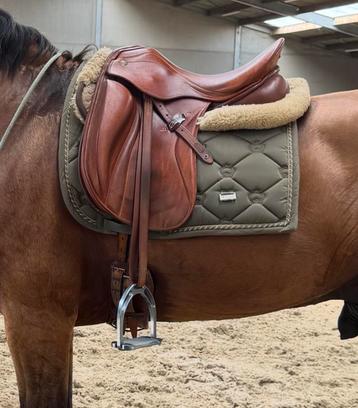 Zaldi san jorge 17 inch beschikbaar voor biedingen