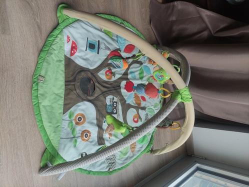 Speelmat skip hop, Kinderen en Baby's, Speelgoed | Speelkleden, Gebruikt, Ophalen
