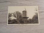 STABROEK: De Molen, Verzamelen, Postkaarten | België, Ophalen of Verzenden, Voor 1920, Ongelopen, Antwerpen