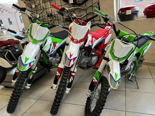 Nieuwe Thunder Pitbike 125cc, 140cc of 250cc Superdeal, Fietsen en Brommers, Minibikes, Midibikes en Pitbikes, Nieuw, Pitbike