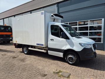 Mercedes-Benz Sprinter 516 CDI/ Kuhlkoffer/ Carrier Xarios 3 beschikbaar voor biedingen