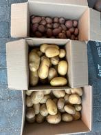 Nieuwe oogst Aardappelen, Ophalen