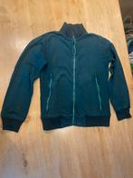 H&CO pull 14 jaar, Kinderen en Baby's, Kinderkleding | Maat 164, Ophalen, Zo goed als nieuw, Trui of Vest