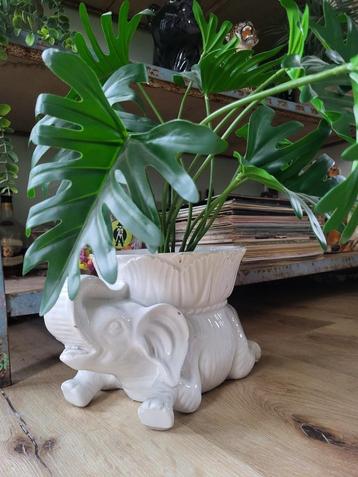 Made in italy Vintage bloempot olifant beschikbaar voor biedingen