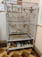 Cage oiseaux, Enlèvement, Comme neuf, Métal, Cage à oiseaux