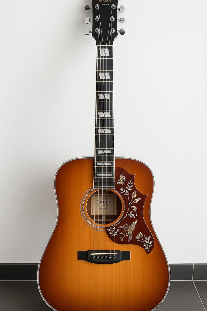 Sigma DM-SG5, Muziek en Instrumenten, Snaarinstrumenten | Gitaren | Akoestisch, Zo goed als nieuw, Western- of Steelstringgitaar