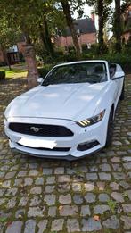 mustang, Autos, Cuir, Achat, Euro 6, Cabriolet