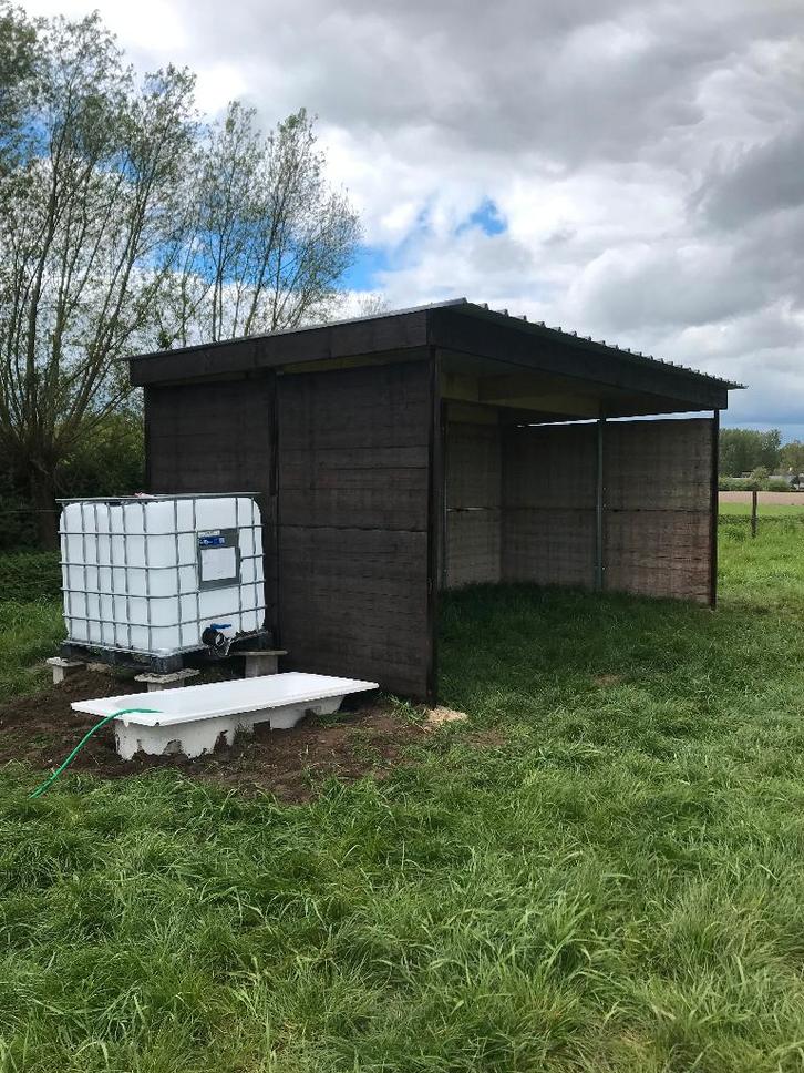 paardenweide met schuilhok, Dieren en Toebehoren, Paarden, Meerdere dieren, Niet van toepassing