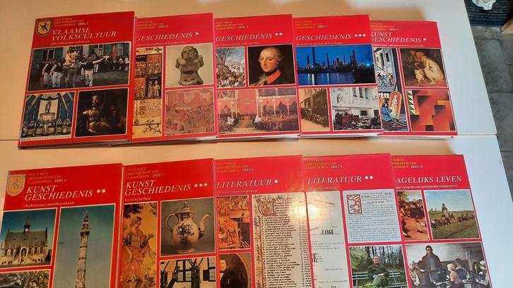 culturele geschiedenis van Vlaanderen, Boeken, Geschiedenis | Wereld, Gelezen, Ophalen