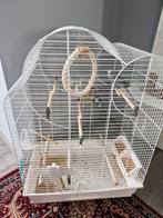 Grande cage avec un perruche et tout ses aliments.
