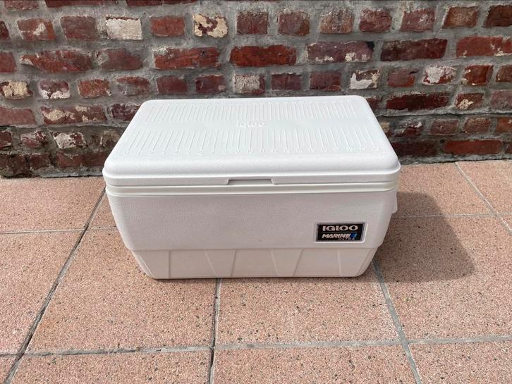Igloo koelbox 45 liter, Caravans en Kamperen, Koelboxen, Zo goed als nieuw, Koelbox, Ophalen