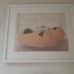 Panamarenko K3 Jungle, Antiek en Kunst, Kunst | Litho's en Zeefdrukken, Ophalen of Verzenden