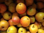 Zoete appels, bewaarappels, bewaarperen, kwee, alles bio, Diversen, Ophalen