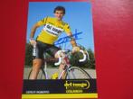 wielerkaart 1985 team del tongo ceruti roberto  signe, Comme neuf, Envoi