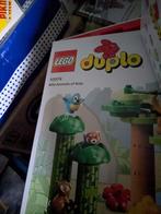 duplo, Ophalen of Verzenden, Nieuw, Duplo