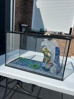 Vissen aquarium, Dieren en Toebehoren, Vissen | Aquaria en Toebehoren, Ophalen, Zo goed als nieuw