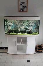 Aquarium juwel 260 led vision, Dieren en Toebehoren, Vissen | Aquaria en Toebehoren, Ophalen