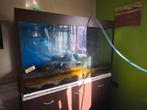 Aquarium met onderkast en toebehoren., Dieren en Toebehoren, Vissen | Aquaria en Toebehoren, Ophalen, Zo goed als nieuw