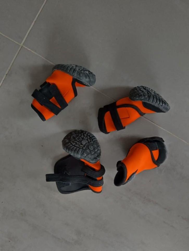 hondenschoentjes, Dieren en Toebehoren, Honden-accessoires, Zo goed als nieuw, Ophalen