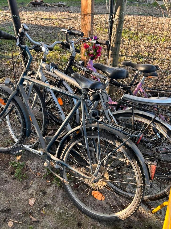 Lot de 7 vélos à rafraîchir, Vélos & Vélomoteurs, Vélos | Hommes | Vélos pour homme, Utilisé, Autres marques, Enlèvement