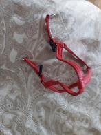 Petit harnais pour chaton, Enlèvement ou Envoi, Neuf