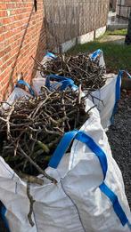 Notentakken gratis, Enlèvement