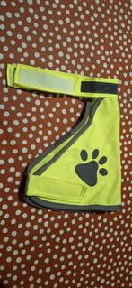 Fluo voor kleine hond, Animaux & Accessoires, Vêtements pour chiens, Enlèvement, Neuf, Autres vêtements pour chien