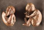 Paar massief bronzen foetus sculpturen, Ophalen of Verzenden