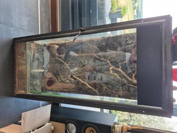 Terrarium avec cascade et piscine beschikbaar voor biedingen