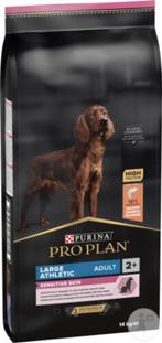 hondenvoeding, Ophalen, Hond