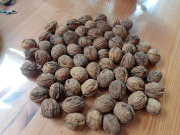noix fraiches 500 gr / 1 € beschikbaar voor biedingen