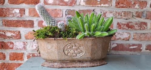 Antieke Franse gietijzeren jardinière/tuinvaas, Tuin en Terras, Tuinvazen, Gebruikt, Ophalen of Verzenden