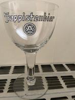 2 verschillende vintage westmalle glazen, Ophalen, Nieuw, Bierglas