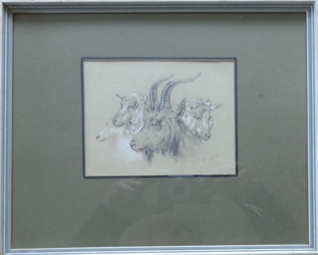 EUGENE VERBOECKHOVEN / GEITEN / ORIGINEEL / 25x31cm / KADER, Ophalen of Verzenden