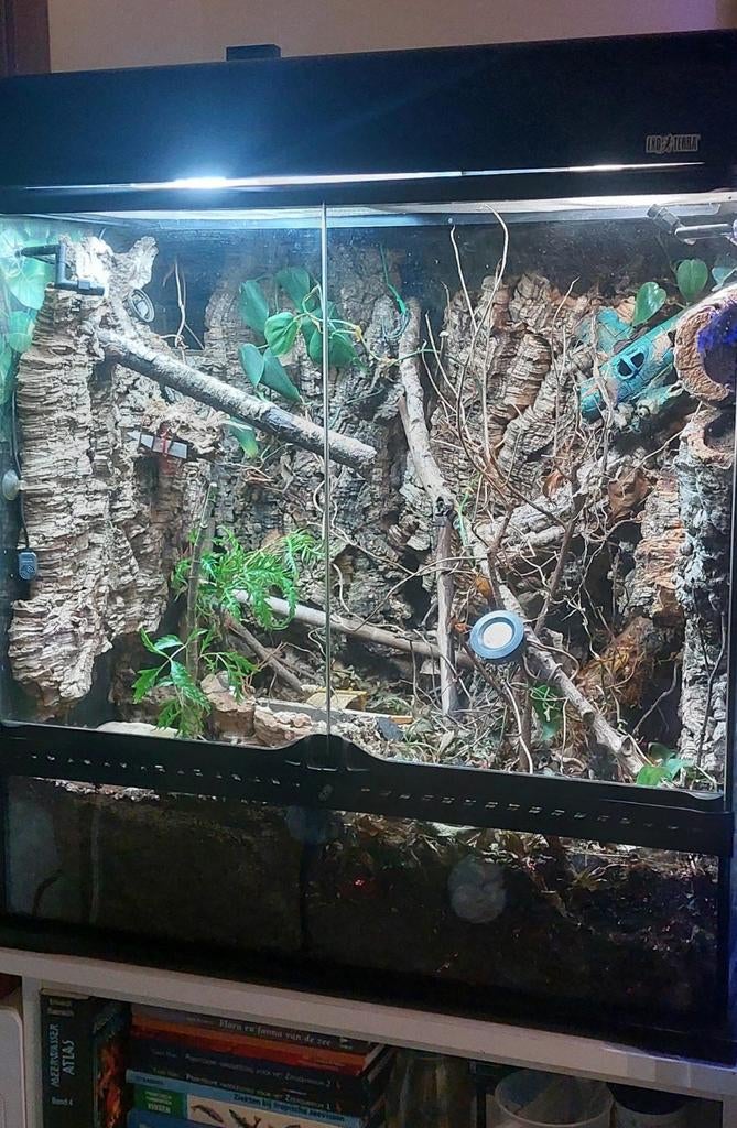 Exoterra 60x45x60 medium tall compleet,ideaal v beginners, Dieren en Toebehoren, Reptielen en Amfibieën | Toebehoren, Ophalen