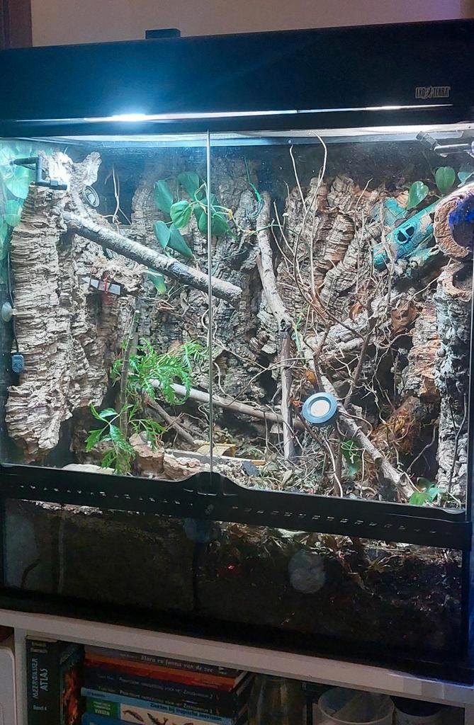 Exoterra 60x45x60 medium tall compleet,ideaal v beginners, Dieren en Toebehoren, Reptielen en Amfibieën | Toebehoren, Ophalen