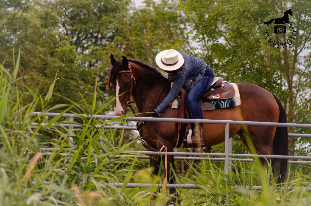 Westernzadel, Animaux & Accessoires, Enlèvement, Utilisé, Western