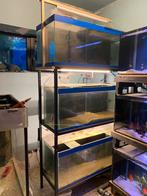 Étagère pour aquarium en trois parties, Animaux & Accessoires, Poissons | Aquariums & Accessoires, Enlèvement, Utilisé, Aquarium vide