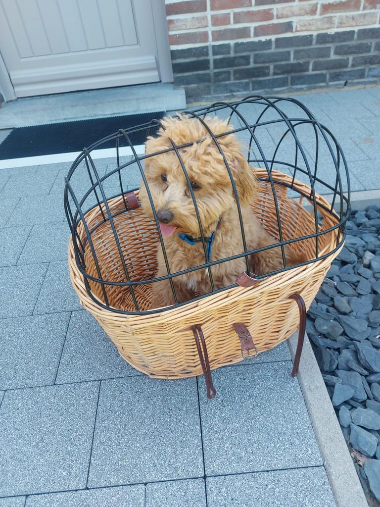 Fietsmandje, Fietsen en Brommers, Ophalen, Zo goed als nieuw