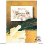 Mouscron : 100 Ans de Carte Postale, Enlèvement ou Envoi